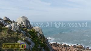 beautiful seacoast waves seen from land, daylight, rocks, grass