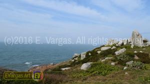 beautiful seacoast waves seen from land, daylight, rocks, grass