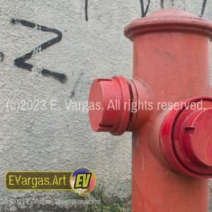 a red fire hydrant in the street, graffiti on the wall behind