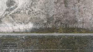 mold, moss on a street wall, dirty, outdoors, daylight, close-up, urban