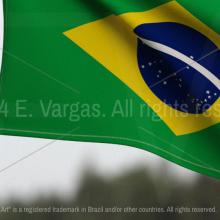 brazilian flag waving in the wind, green fields, trees, outdoors, cloudy day