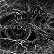 close-up of multiple white thin lines in the shape of an eye, over a black blackground